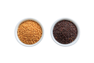 Mustard Seeds Black And Yellow Exporter